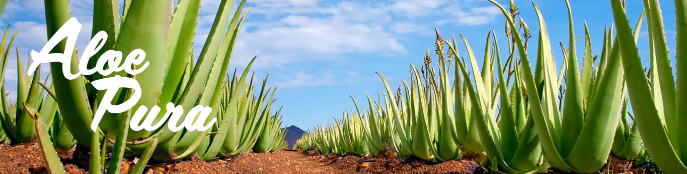 aloe pura.jpg